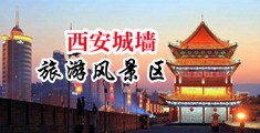 骚逼插逼网站中国陕西-西安城墙旅游风景区