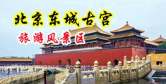 插插穴网中国北京-东城古宫旅游风景区